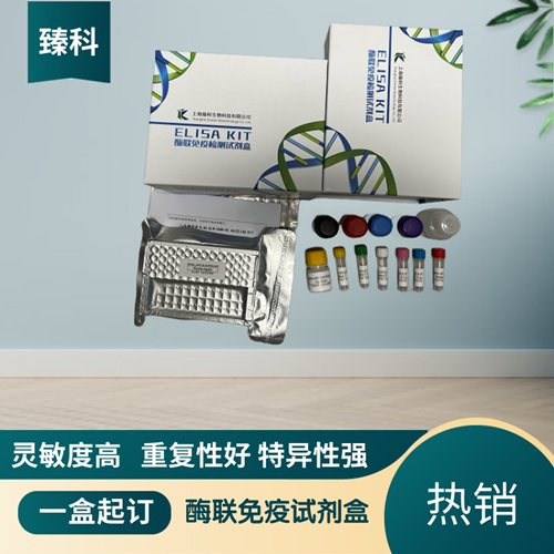 大鼠（Rat）Ⅲ型胶原α1(COL3α1）ELISA试剂盒